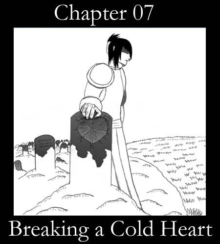Chapter 7 Cover