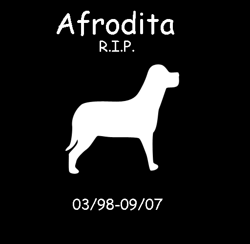 In Memory Of