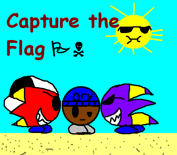 Capture the Flag(cover)