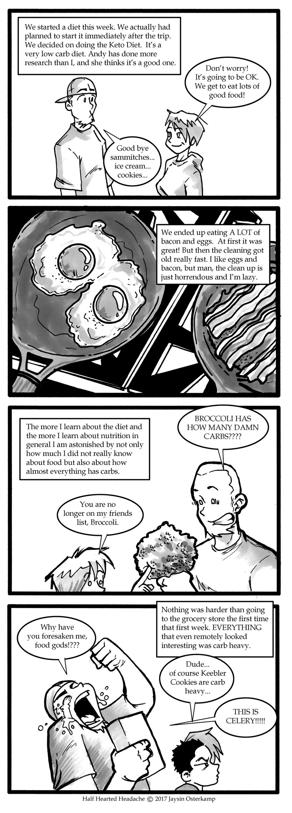 July 11, 2017 - Keto Diet Begins