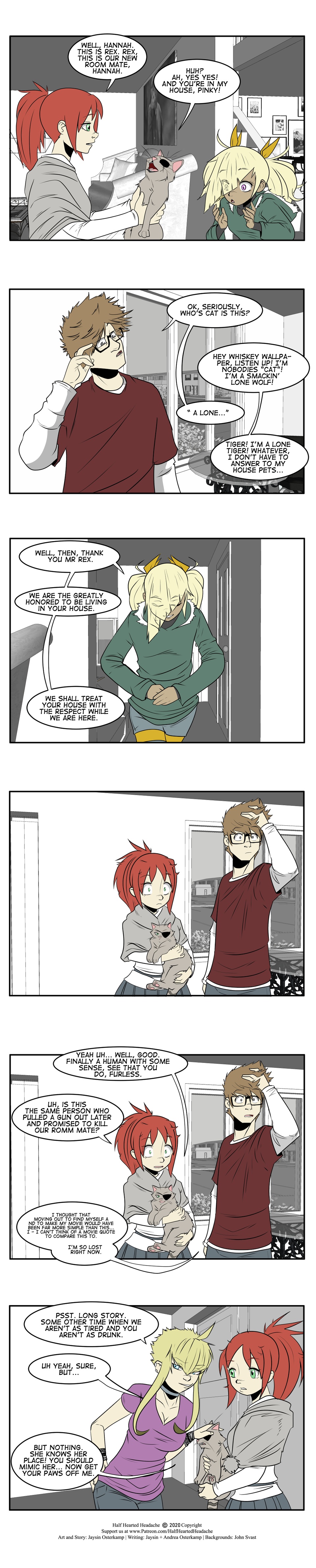 795 - Thank You Mr Cat