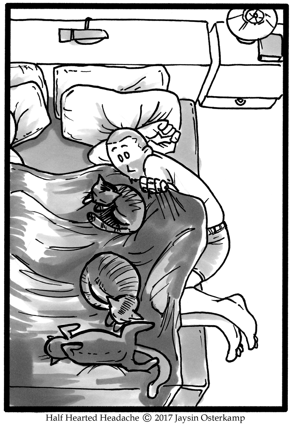 June 25, 2017 - Sleeping with cats