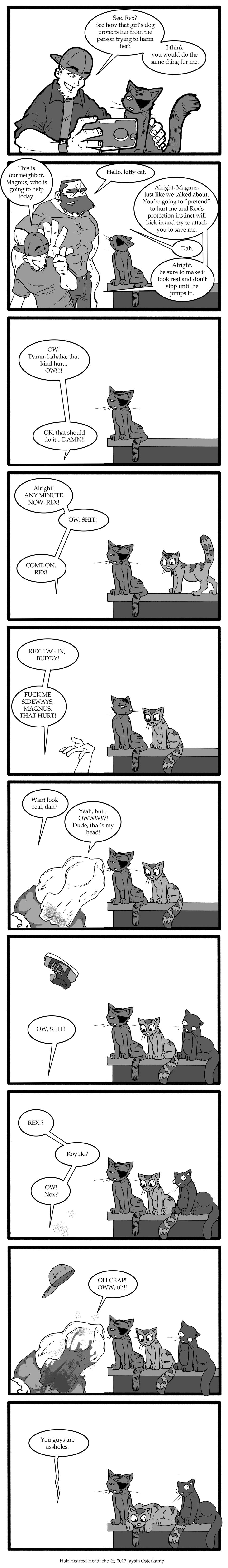 August 11, 2017 - Cat Protectors