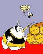 Fat hummingbird on facebook