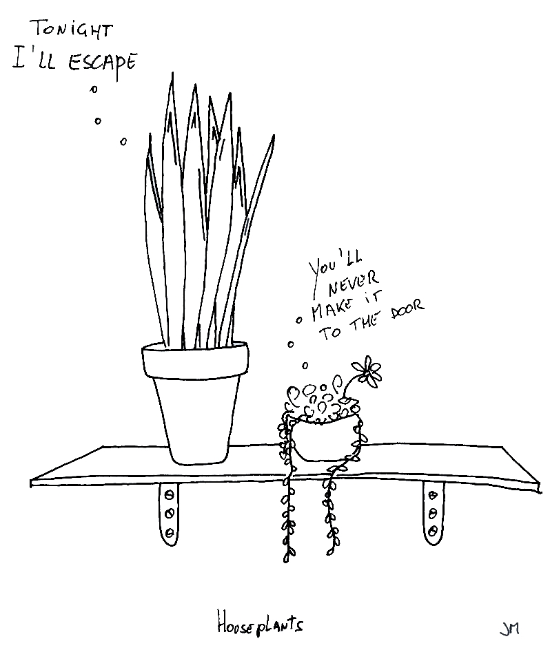 Houseplants with plans