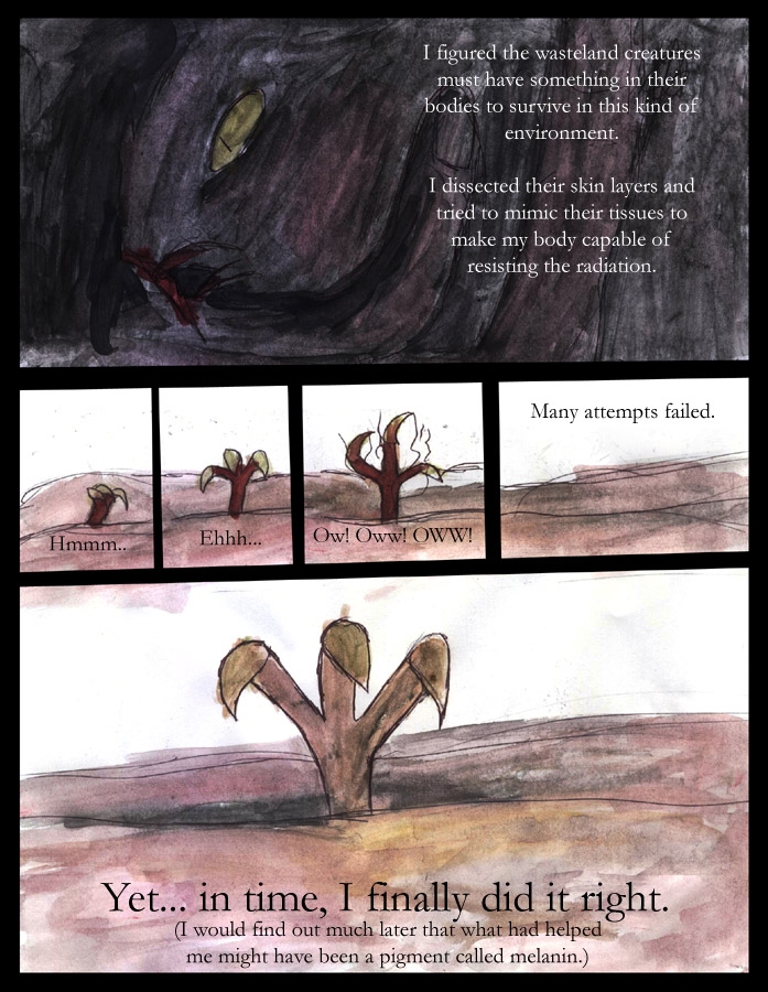 066 Walking into the Sun