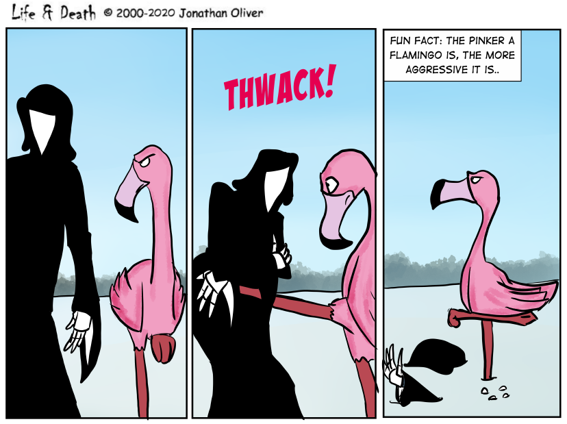 #1846 - Nature's Miracle..