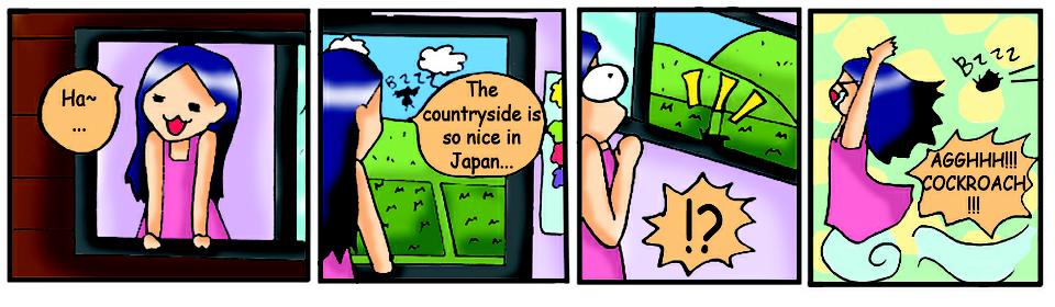 The Japanese countryside...