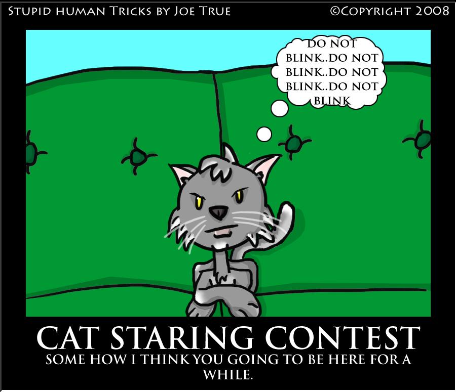 SHT: CAT STARING CONTEST!!