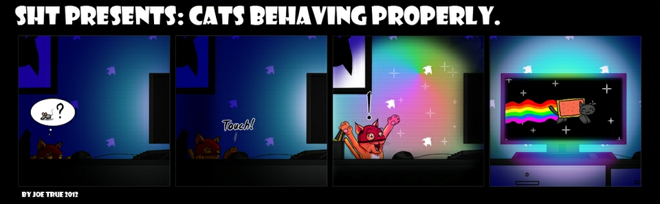 SHT: Cats Behaving Properly. N1nj4 vs Nyan
