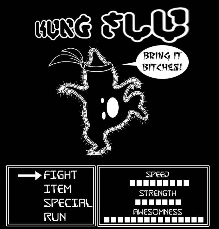 KUNG FLU!