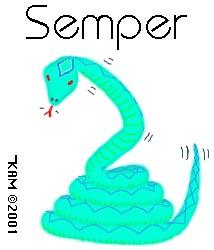 Semper