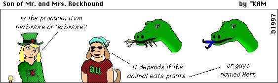 Son of Mr. and Mrs. Rockhound 21