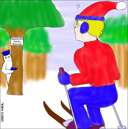 Skiier