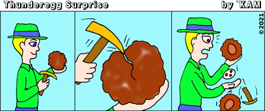 Thunderegg Surprise