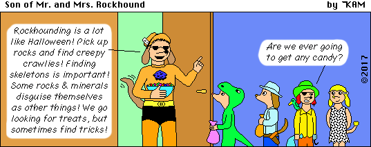 Son of Mr. and Mrs. Rockhound 91