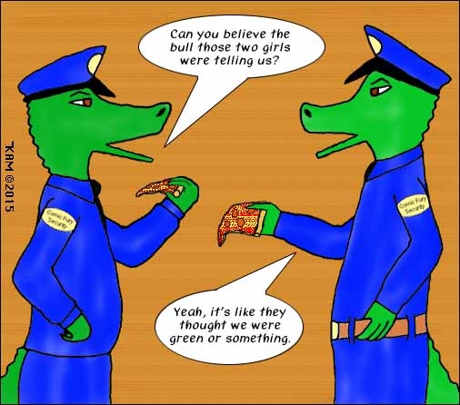 Comic Fury Madness Security