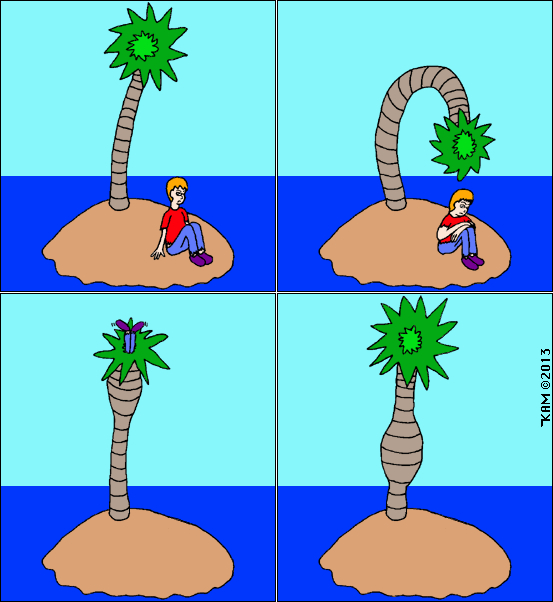 Desert Island 11