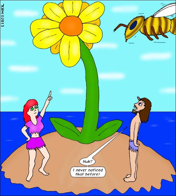 Desert Island 12