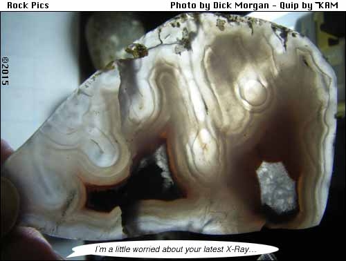 Rock Pics 5
