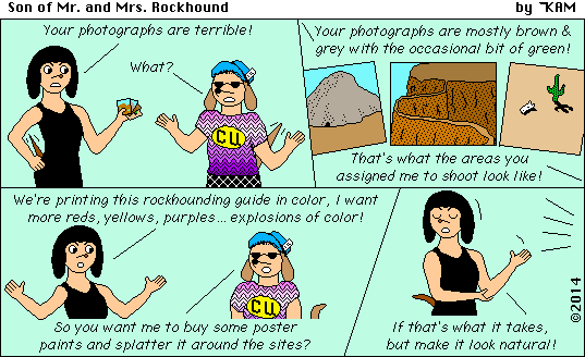 Son of Mr & Mrs Rockhound 82