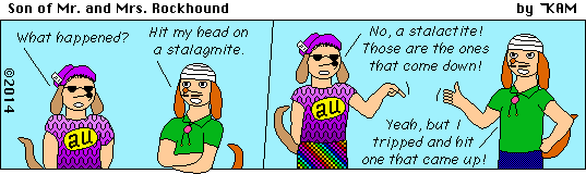 Son of Mr & Mrs Rockhound 83