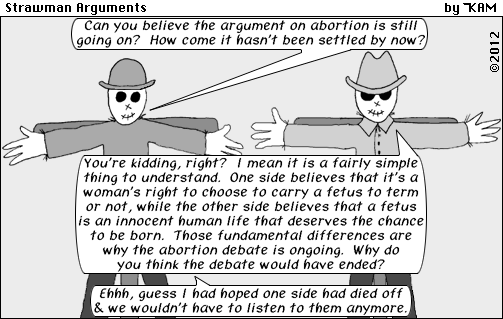 Strawman Arguments 12