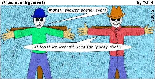 Strawman Arguments 13