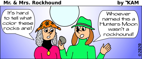 Mr. & Mrs. Rockhound 279