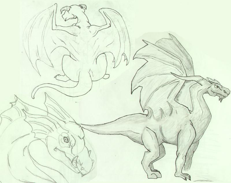 Dragons Part1