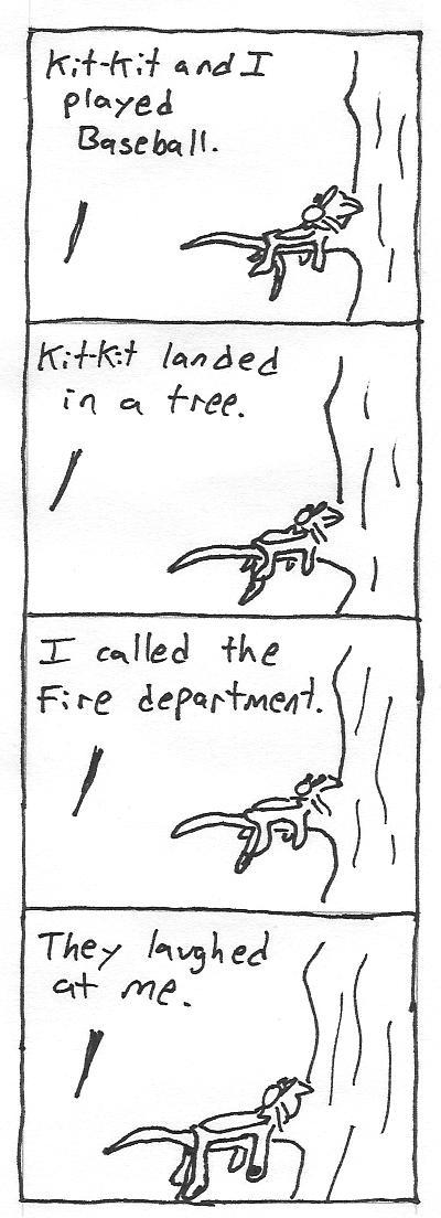 0038 - Cat in a tree