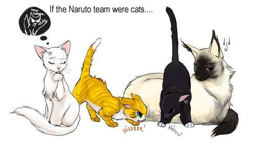 Naruto cats