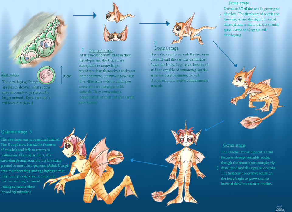 Life cycle of the Uuoyii