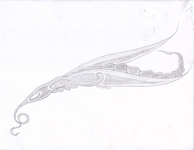 Wasp