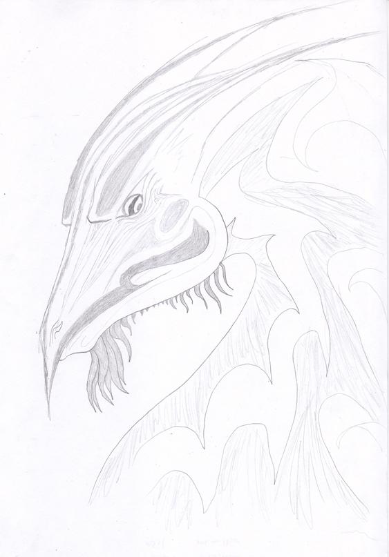 Bearded Dragon