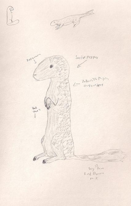 Ground Squirrel doodle