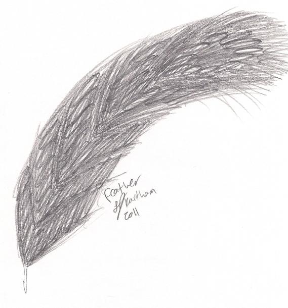 Feather