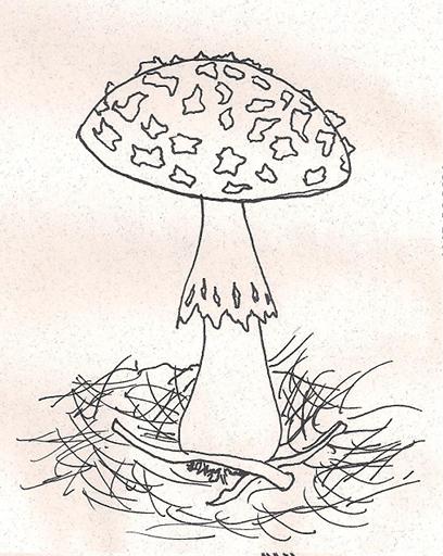 Mushroom