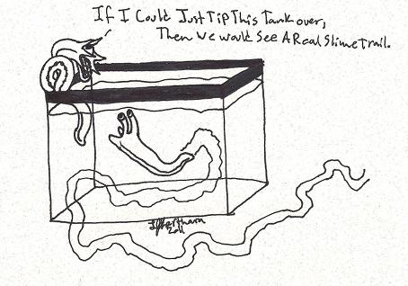 A hag fish vs. a snail making slime trails. 