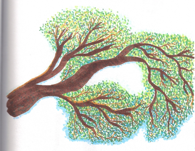 Branch