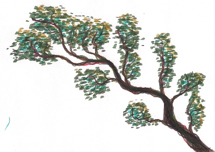 Branch2