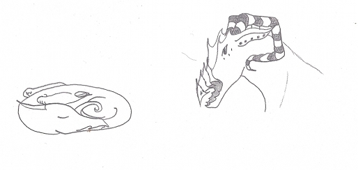Dragon 97