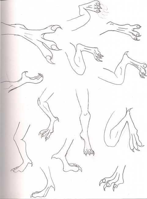 Foot Study