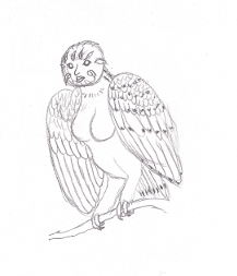 Harpy