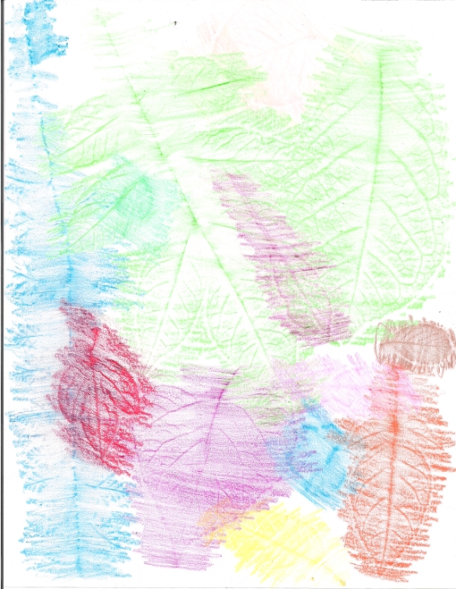 Leaves