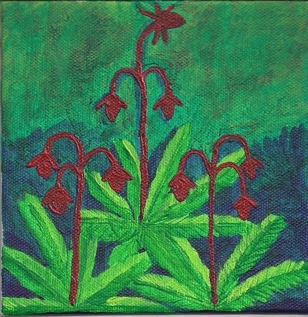 Prairie Smoke