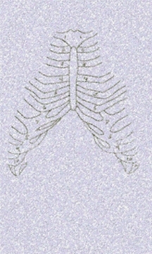Sternum Tiles