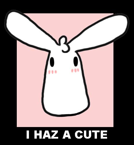 I Haz A Cute