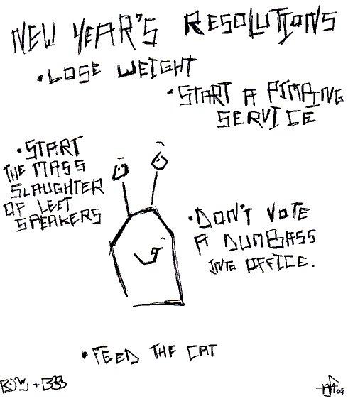 Resolutions 2008