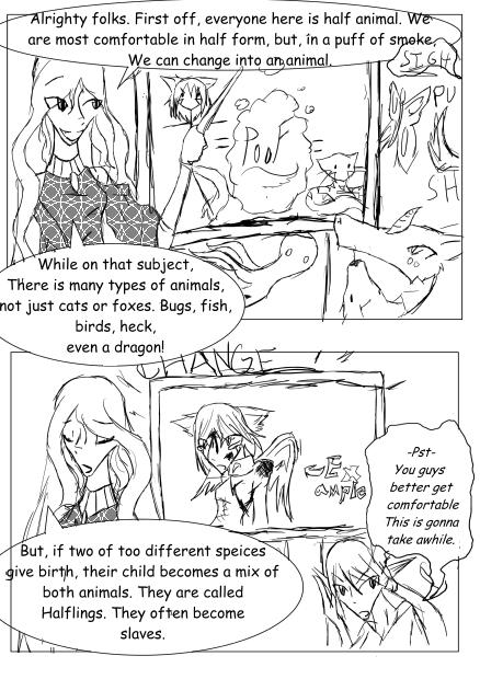 Ch1 Pg13 Explaination